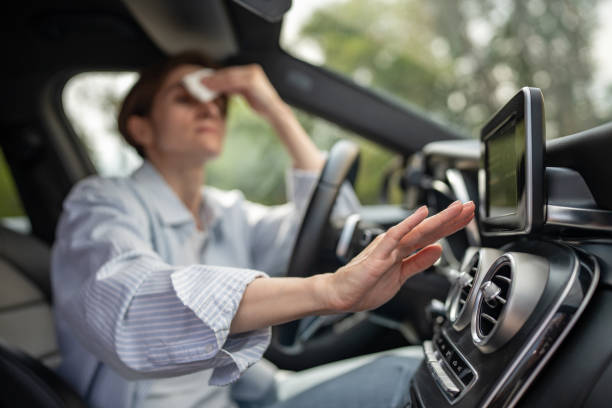 Best Air Conditioning Cleaning in Franklin, MI